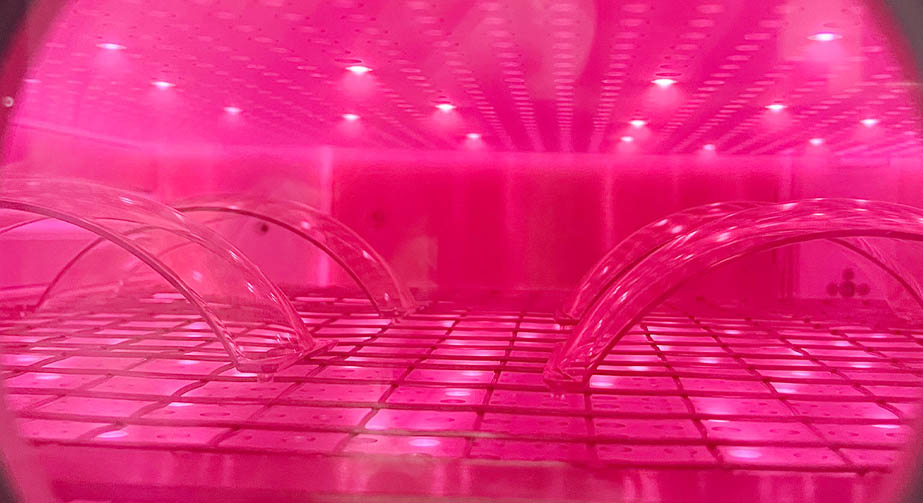 91短视频在线播放处理和电晕处理的区别与联系