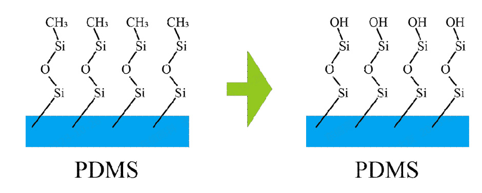 图1.1 PDMS 91短视频在线播放表面处理