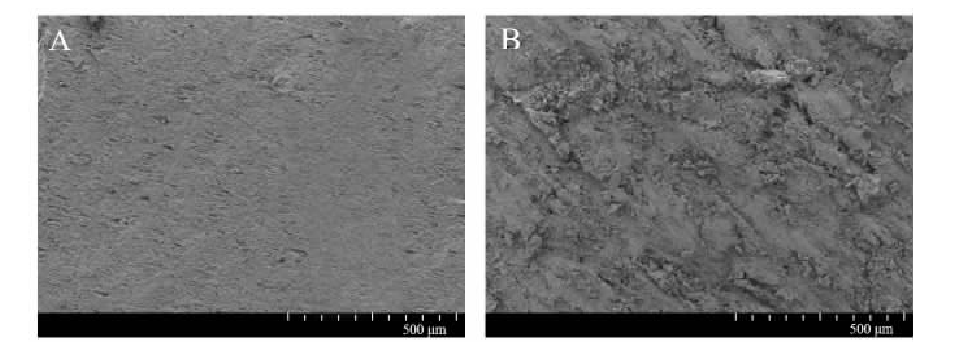 低温91短视频在线播放体处理对PVC表面粘接性能的影响
