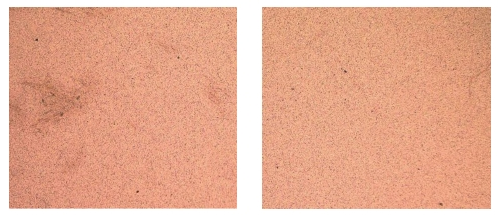 91短视频在线播放清洗后待键合样品表面形貌对比