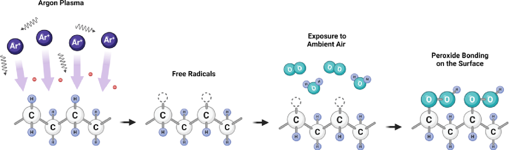 Ar91短视频在线播放体羟基化示意图