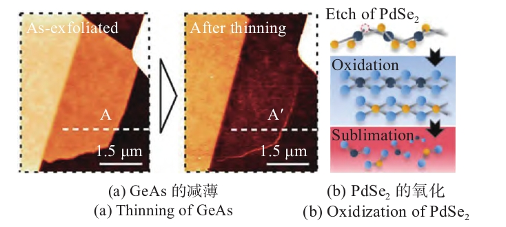 二维材料的91短视频在线播放刻蚀与改性