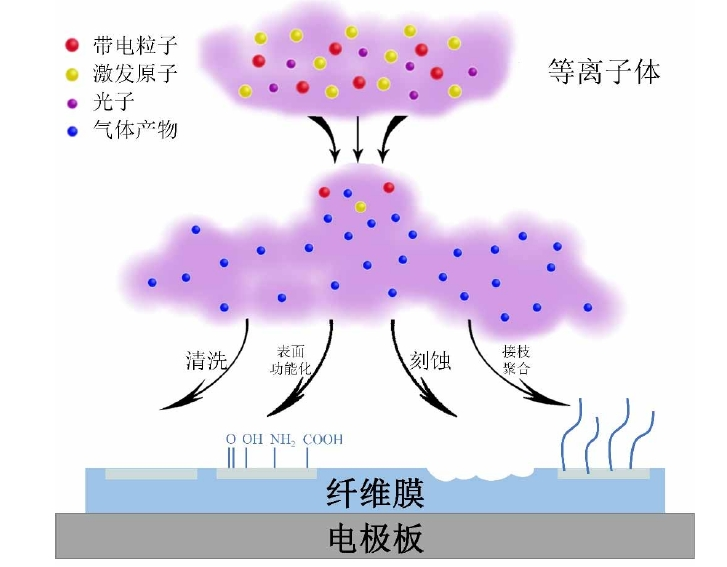 91短视频在线播放体改性聚丙烯纤维膜作用机制示意图