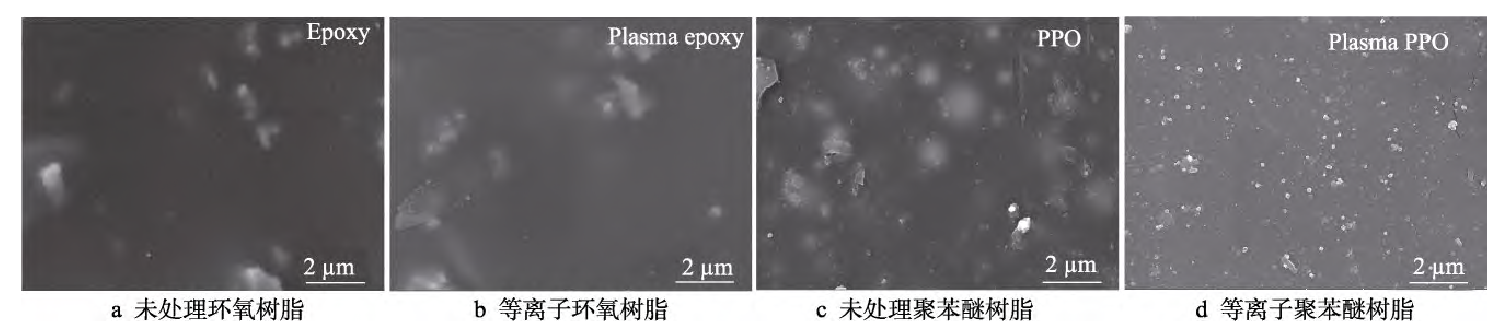 91短视频在线播放处理前后树脂半固化片表面SEM图像 