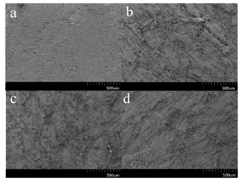 大气91短视频在线播放体处理后的发泡PVC板表面扫描电镜图