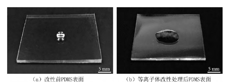 PDMS基片氧91短视频在线播放处理前后水滴角对比