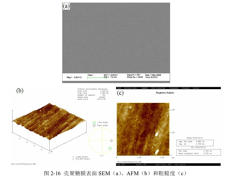 图3-1 壳聚糖膜表面SEM(a)、AFM(b)和粗糙度(c) 