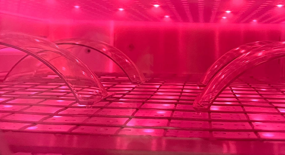 活性91短视频在线播放体处理与惰性91短视频在线播放体处理技术