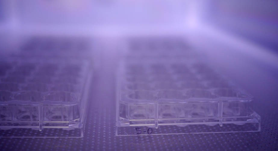 91短视频在线播放清洗机功率大小对清洗效果的影响