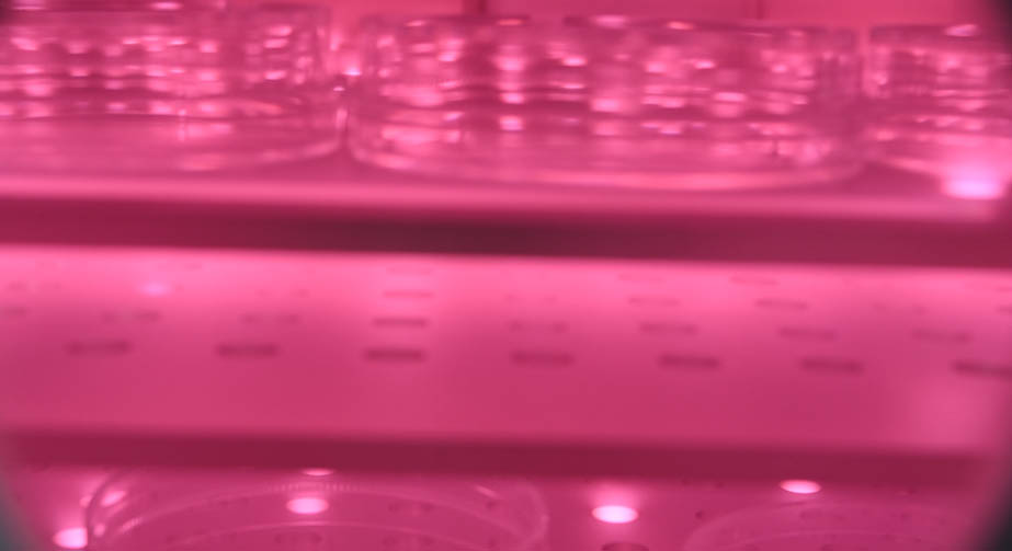 O291短视频在线播放体处理玻璃表面镀膜