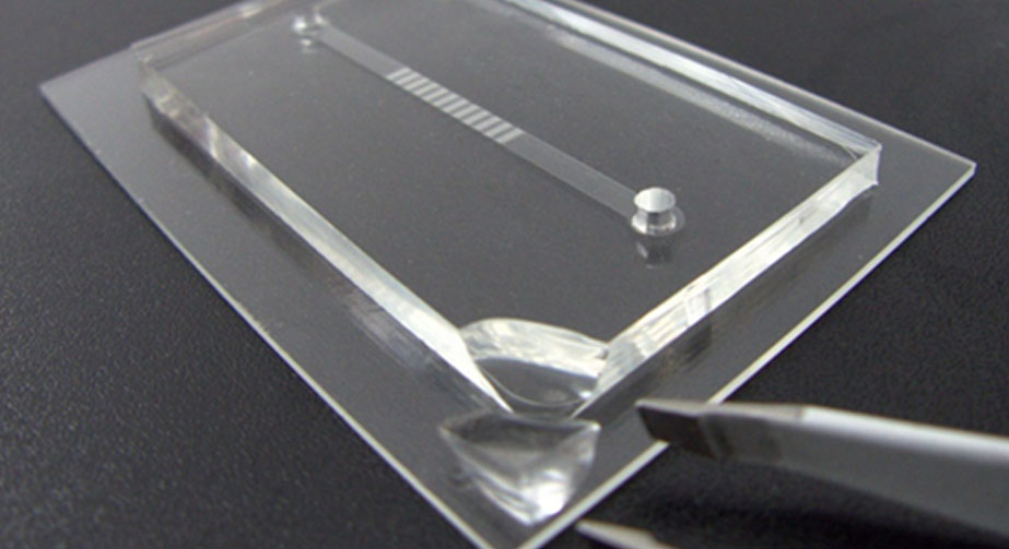 铌酸锂基底与PDMS微流道氧91短视频在线播放处理键合方法与流程