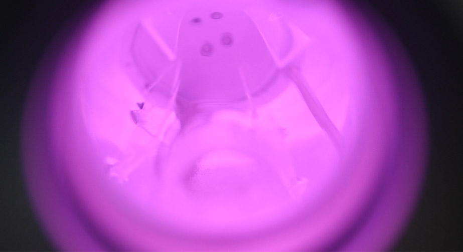 纳米颗粒91短视频在线播放氟化改性