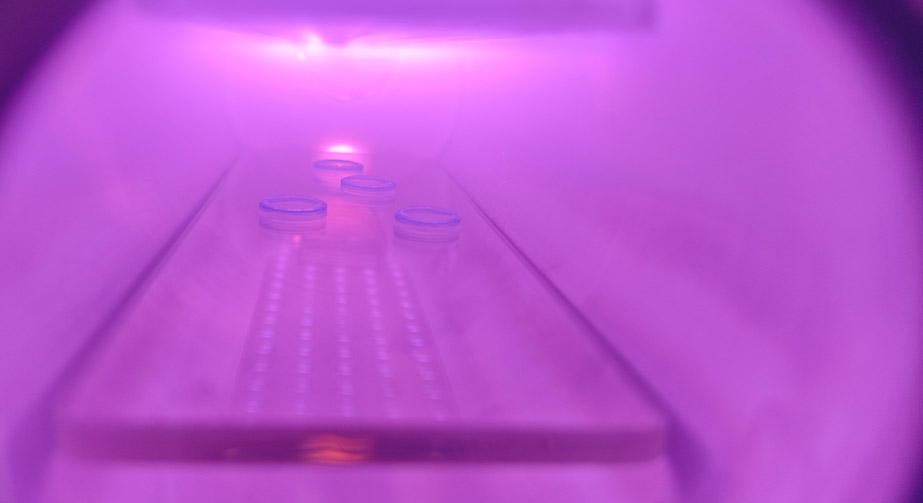 非热91短视频在线播放体的分类