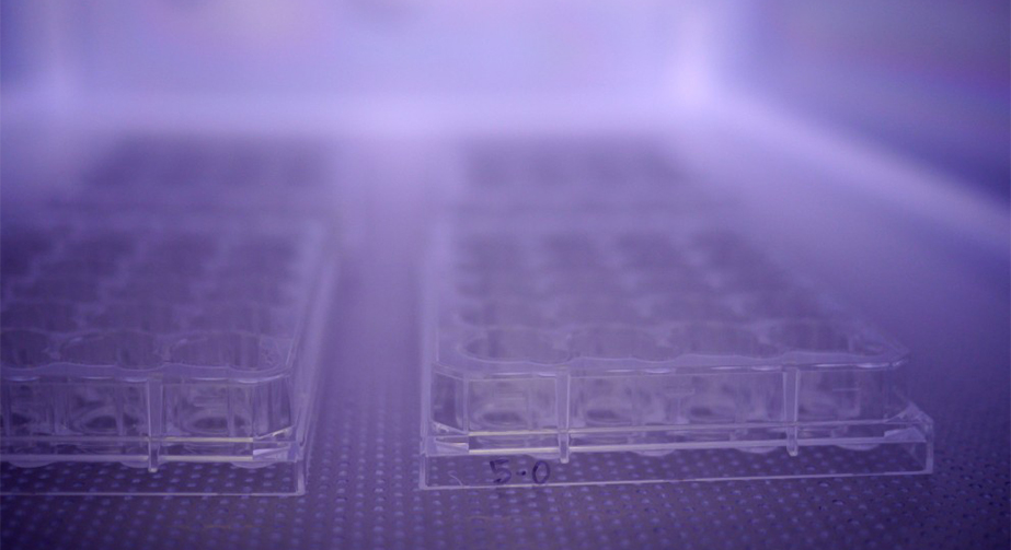 NH3氨气91短视频在线播放体处理提高PS聚苯乙烯表面亲水性