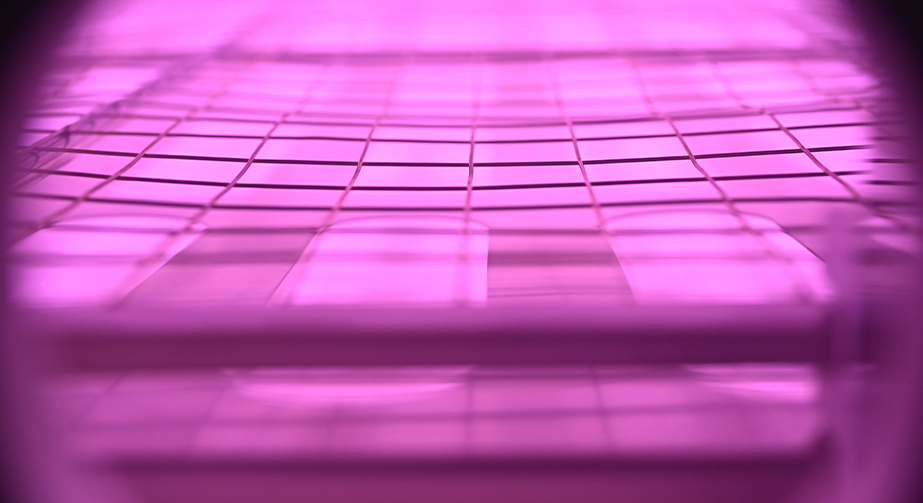 橡胶低温91短视频在线播放体处理提高粘接性原理